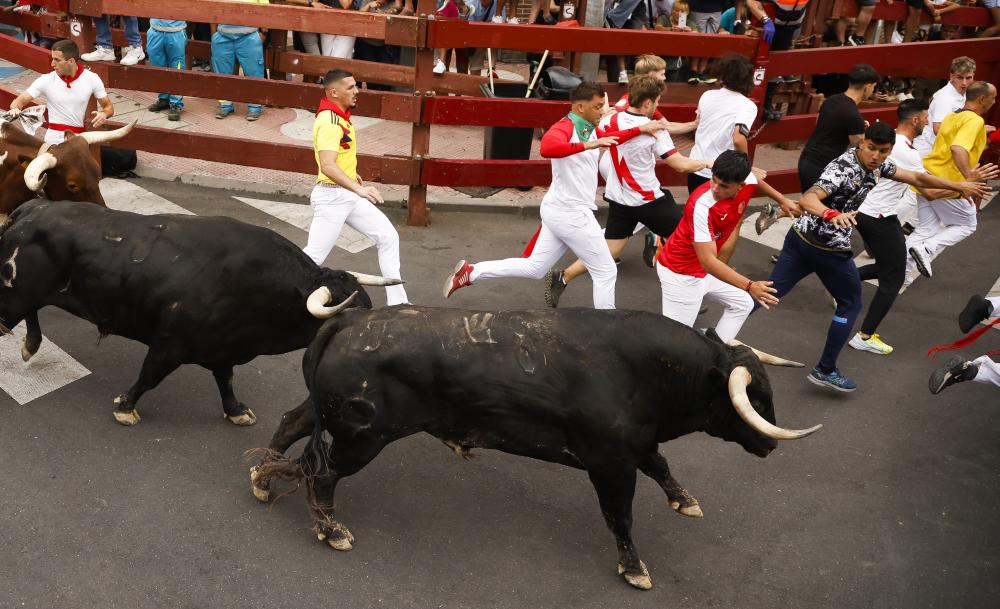 Imagen EFE_25_8_2.jpg