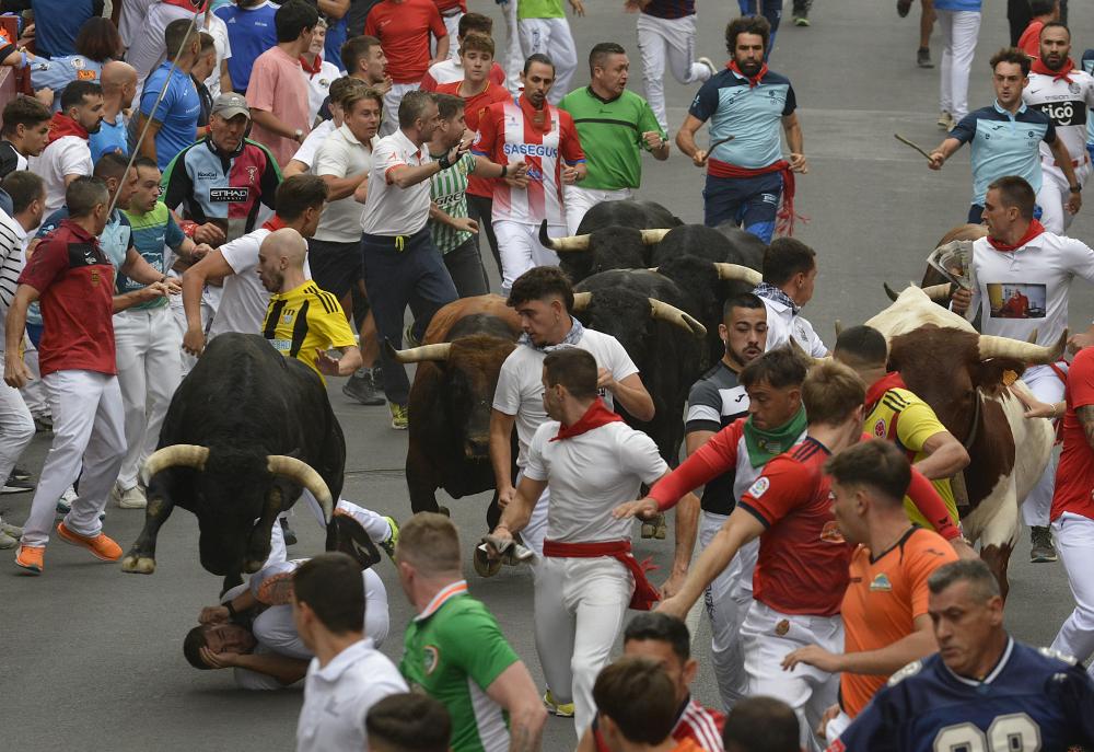 Imagen Los toros de La Palmosilla protagonizan un veloz primer encierro de las fiestas