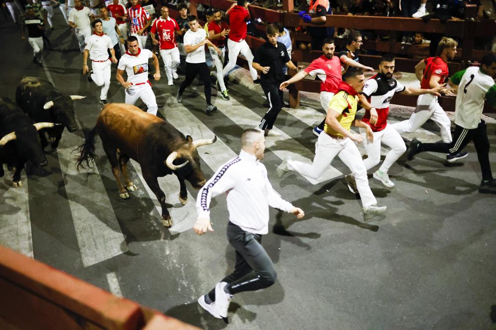 Imagen Segundo encierro, nocturno, con 50 000 espectadores y 3 000 corredores en la manga