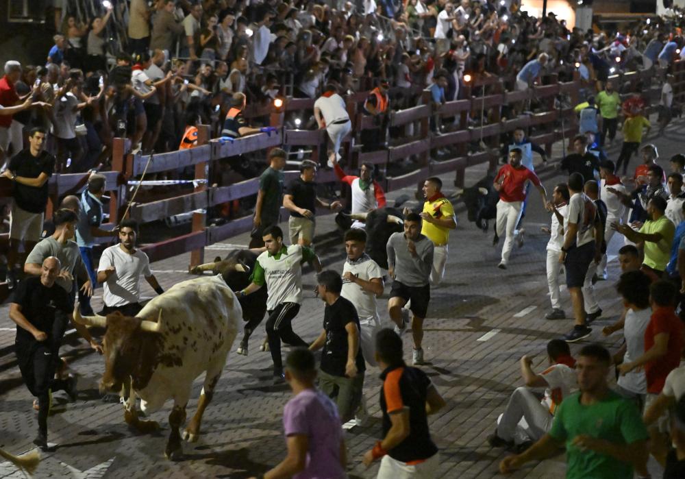 Imagen Encierro nocturno 25-08 1.JPG