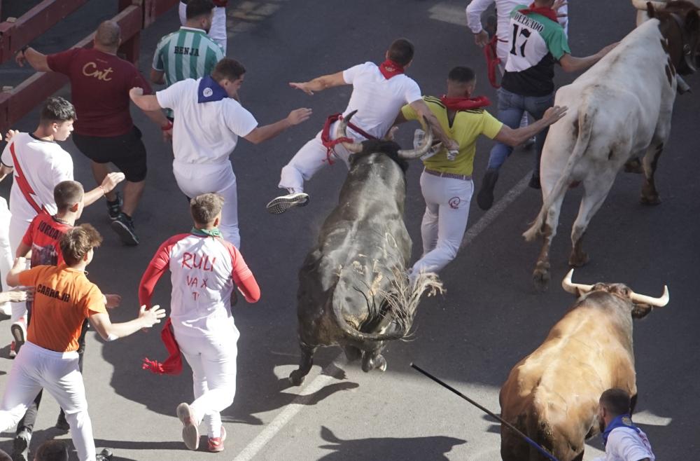Imagen Emoción en el quinto encierro, con un herido por asta de toro