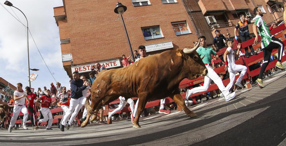 Imagen El sexto encierro, rápido y con momentos de tensión con los toros de Pinto Barreiros