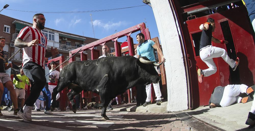 Imagen Un emocionante y rápido séptimo encierro deja 11 heridos