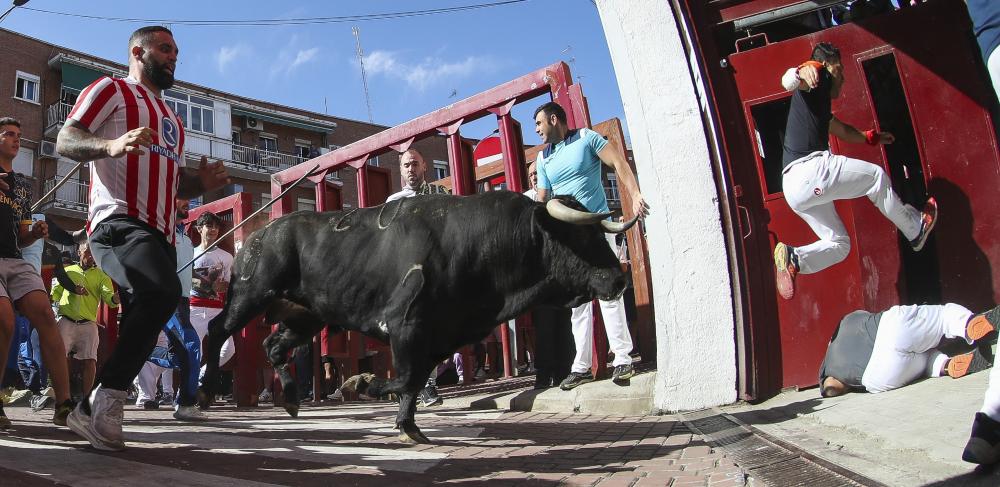 Imagen EFE_30_8_4.JPG