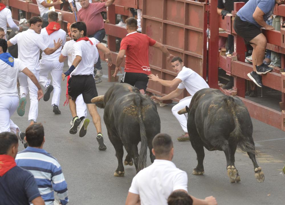 Imagen PM_31_08_2.JPG