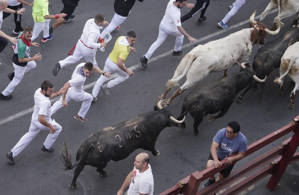 Imagen RM_31_08_3.JPG