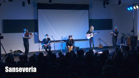 Imagen Influencias celtas, eslavas y clásicas con Sanseveria en 'Los Viernes de...