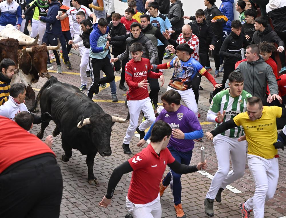 Imagen ENCIERRO_18_ENERO_TC_3.jpg