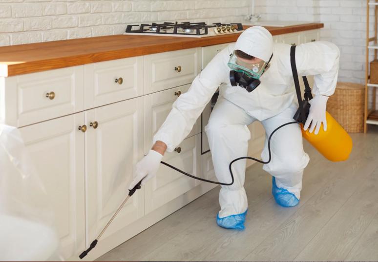 Imagen Vigilancia y control sanitario de bienes inmuebles y entorno urbano